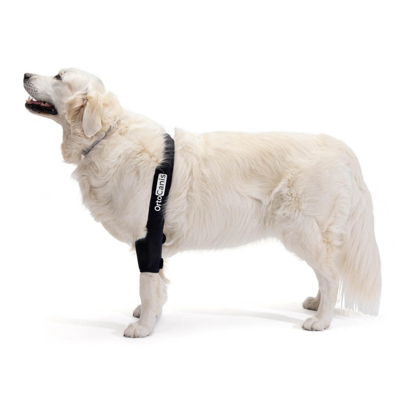 Ortocanis - Dog Elbow Protector - Right Leg Elbow Brace - Chronic Arthritis, Dysplasia, and Skin Lesions - Reduces Pain and Inflammation - Size: XS 7.5-11.5 cm Size XS