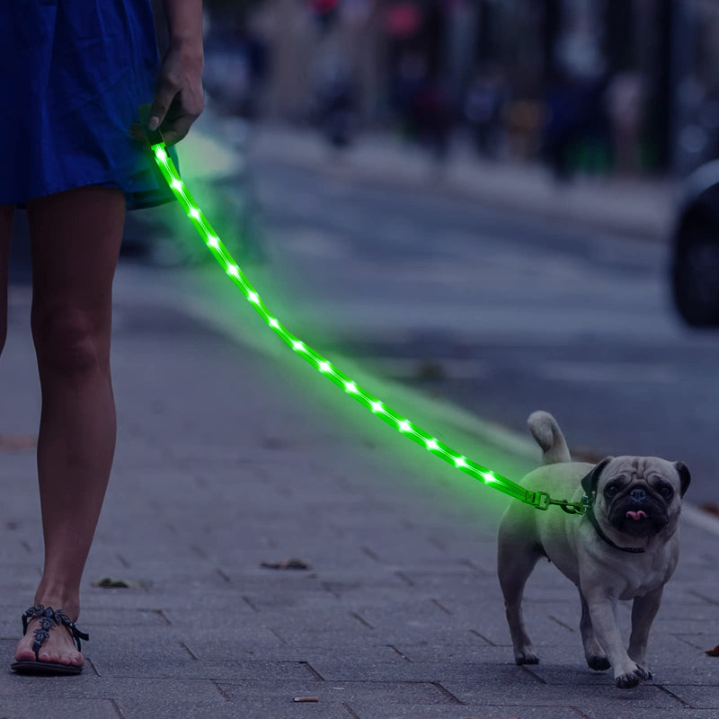 Weesiber Glowing Light Up LED Dog Leash - 4ft USB Rechargeable Flashing Nylon Leash for Small Medium Large Dogs, 3 Flash Modes (Green) Green