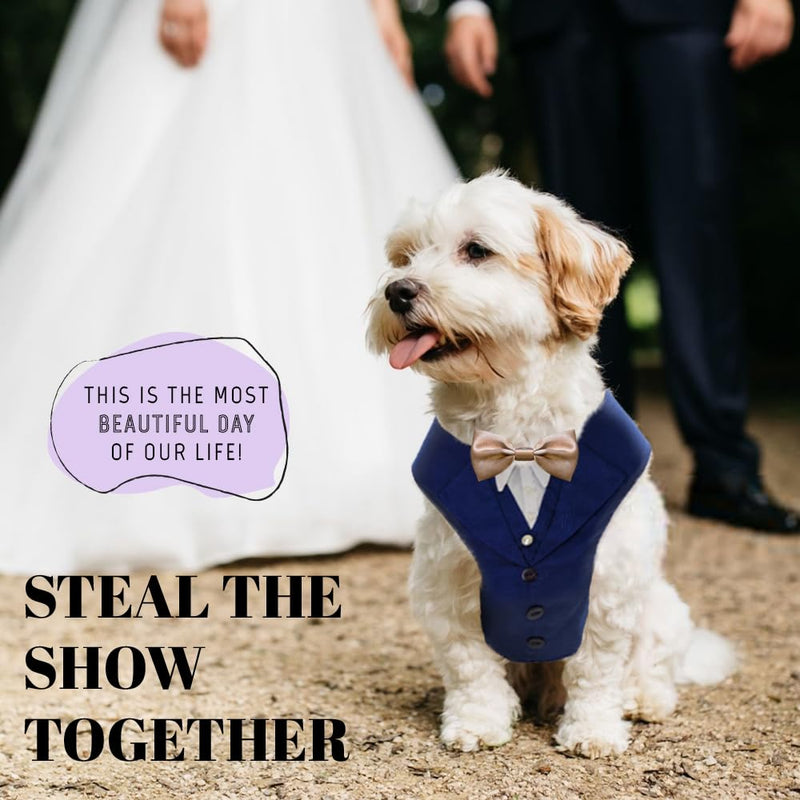 AVERYDAY Dog Tuxedo for Wedding Outfit, Dog Suit and Tie Costumes for Birthday, Halloween, Cosplay, Christmas Party, Pet Formal Wear with Bowtie, Tux for Small Dogs, Chihuahua, Bichon, Maltese, Cats S (Chest 16.9-21.1 in) Blue Tux+Champagne Tie - PawsPlanet Australia