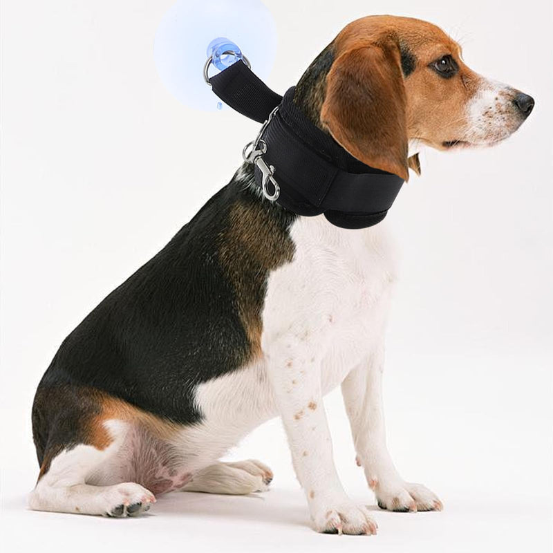 Suction cup grooming holder for dog bathing and nail care with adjustable bracket. Suitable for cats and dogs. Stable holder for safe bathing and grooming at home.
