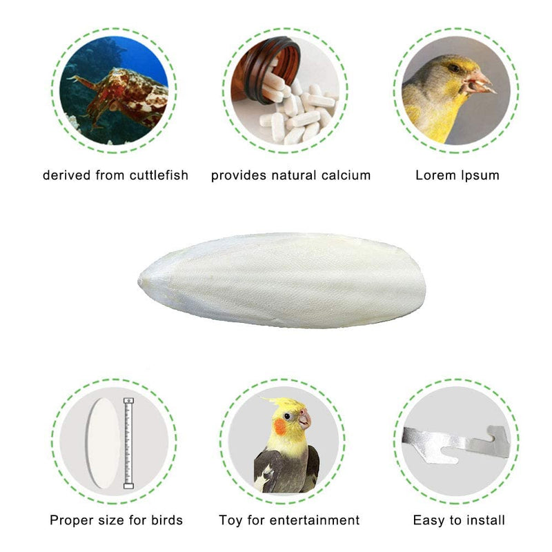 Natural Cuttlebone for Birds Parakeets Canaries Cockatiels Small Conures Mynahs Toucans African Greys All Parrots Snails Totoise, with Holder for Bird Cage (3.9-4.5",2PCS) 4-5 Inch (Pack of 2) - PawsPlanet Australia