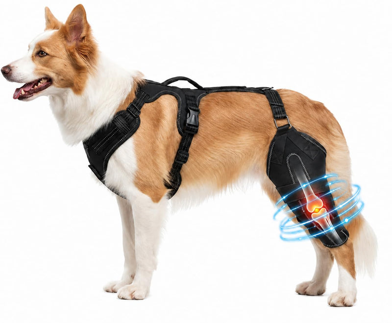 Dog Ligament Brace Support for ACL Injury Torn Recovery, Pet Adjustable Neoprene Dog Leg Support Sleeve, Pet Knee Joint Stabiliser for Cruciate ligament injury recovery, arthritis support. (M) M