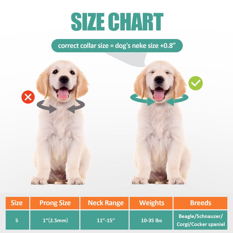 Training Collar for Small Dogs - 2.5mm Adjustable No-Pull Guidance Pet Stainless Steel Collar with Quick Release Buckle. Kit Includes 3.9ft Leash + Links + 8 Comfort Tips (Fits 11-15in Neck) - PawsPlanet Australia