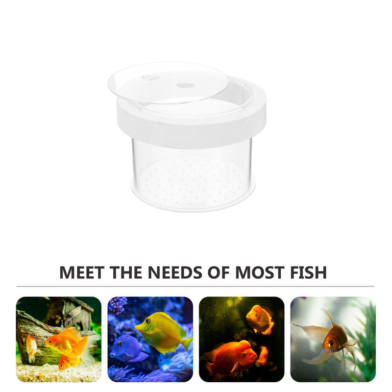 Fish Breeding Box - Acrylic Aquarium Box Fish Tank Separate Box Fish Box Aquarium Hatchery Incubator Aquarium Breeding Box for Shrimp Small Fish 10X10X8CM Transparent