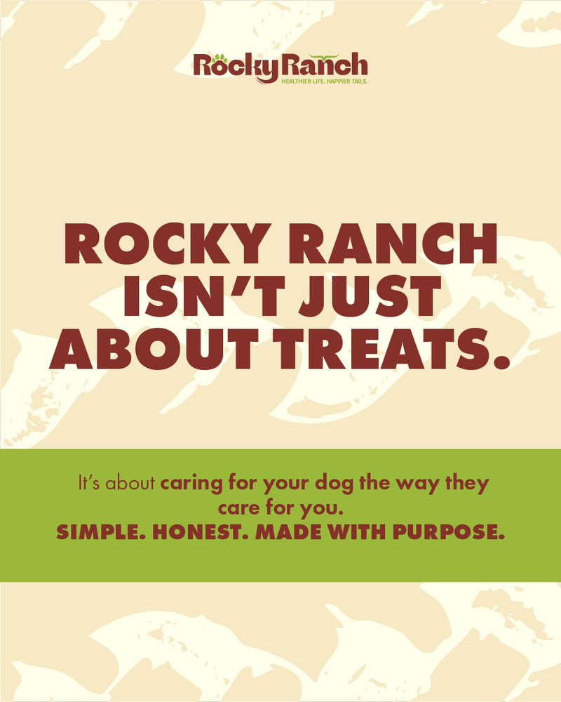 Rocky Ranch, Small Bully Sticks, Beef Flavor, 8 oz, Adult Dog, Natural Chew Treats, Dental Care, High Protein. No additives - PawsPlanet Australia