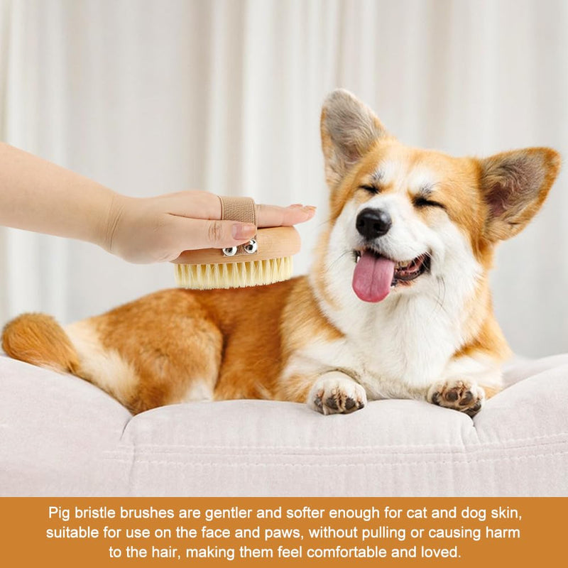 Soft Boar Bristle Pet Palm Brush for Short Haired Dogs and Cats, Ergonomic Pet Brush with Band, Natural Bristle Grooming Brus-h for Gentle Massage/Reduces Shedding(COLOR:Wood) Wood - PawsPlanet Australia