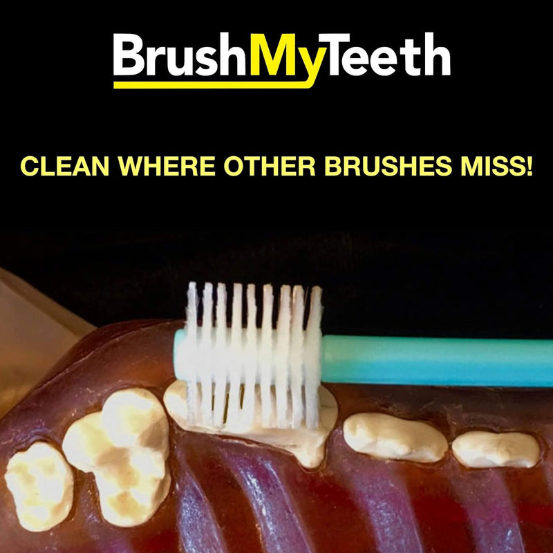 Brush My Teeth Small Dog Toothbrush, Rounded Brush Head -Soft Flexible Bristles, Safe and Gentle Brushing for Small Dogs, Small Breeds and Puppy, Daily Brushing Adds Years of Healthy Life, Multicolor 1 Count (Pack of 1)