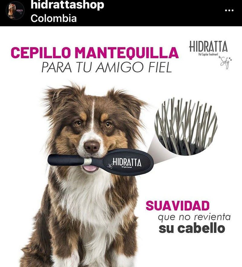 Hairbrush for pets - cepillo mantequilla - PawsPlanet Australia