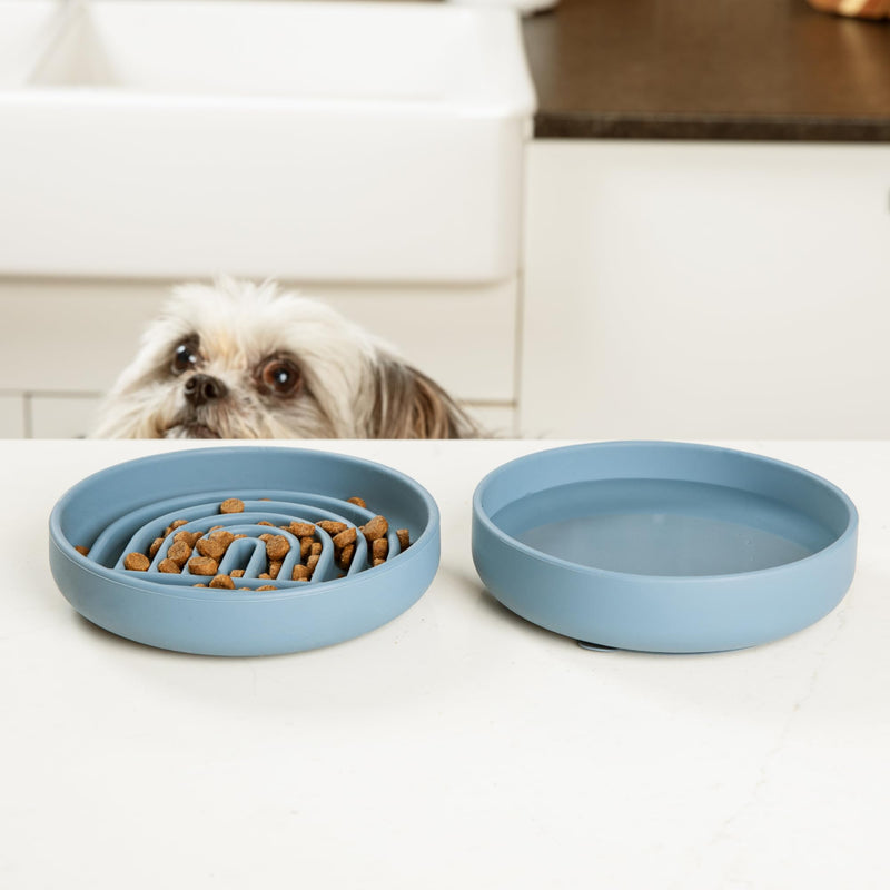 The Slowdown Bowl - Silicone Slow Feeder, Slow Eating, Modern Lick Mat Design, Reduces Gulping, Dishwasher Fit, for All Cat & Dog Breeds, Mealtime Challenge, Small-Spruce Spruce - Rainbow Design - PawsPlanet Australia