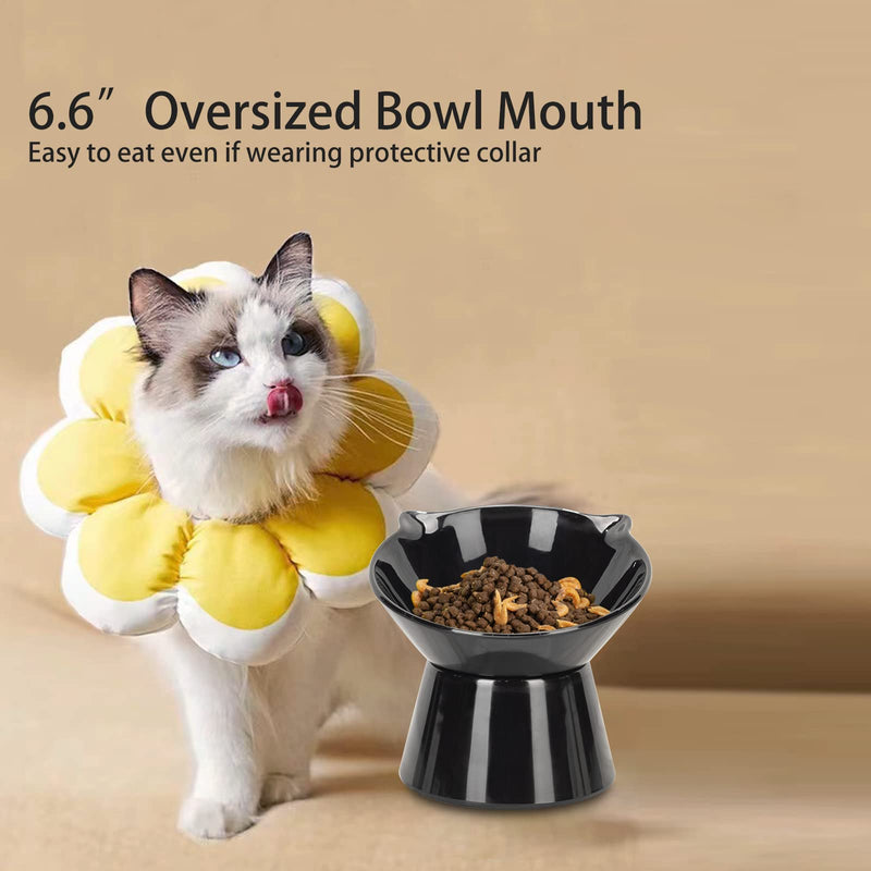 Raised Cat Bowl,15°Tilted Elevated Cat Bowls for Kittens，Anti Vomiting Cat Food Bowl，Cat Feeding and Watering Dishes for Cat and Small Dog Black