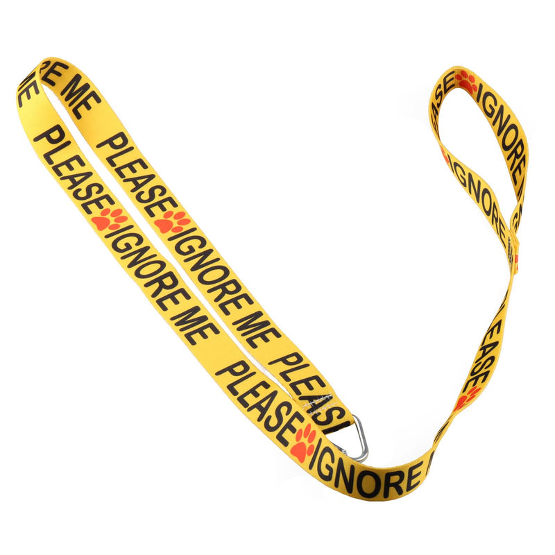 Funny Dog Leash Please Ignore Me Dog Leash Walking Training Dog Leashes Dog Owner Pet Lover Gift (Please Ignore Me-YE) Please Ignore Me-YE - PawsPlanet Australia