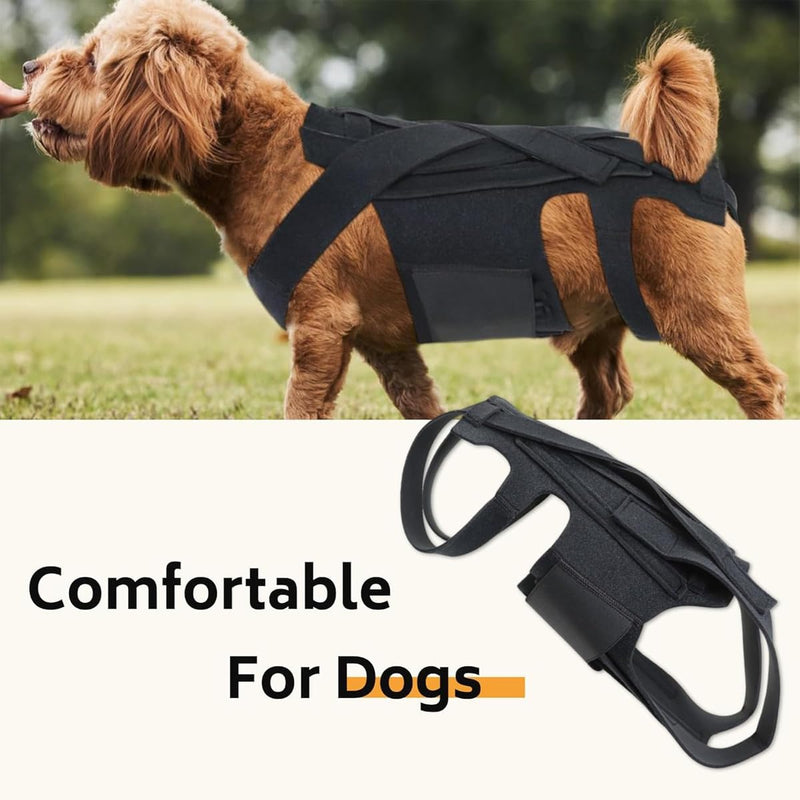 Dog Back Brace for Slipped Disc and Dog Arthritis Support, IVDD Dog Supplies, Dachshund Back Support, Back Brace for Dogs with Back Disease and IVDD [Includes 5 Dog Teeth Cleaning Wipes] (L) L - PawsPlanet Australia