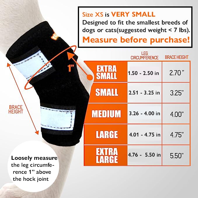 NeoAlly - Short Rear Leg Hock Brace, Dog Leg Brace for Rear Leg, Hock & Ankle Support, Dog Brace for Torn ACL & CCL, Dog Leg Sleeve with Reflective Straps, Small, Black, 1 Pair Small (1 Pair)