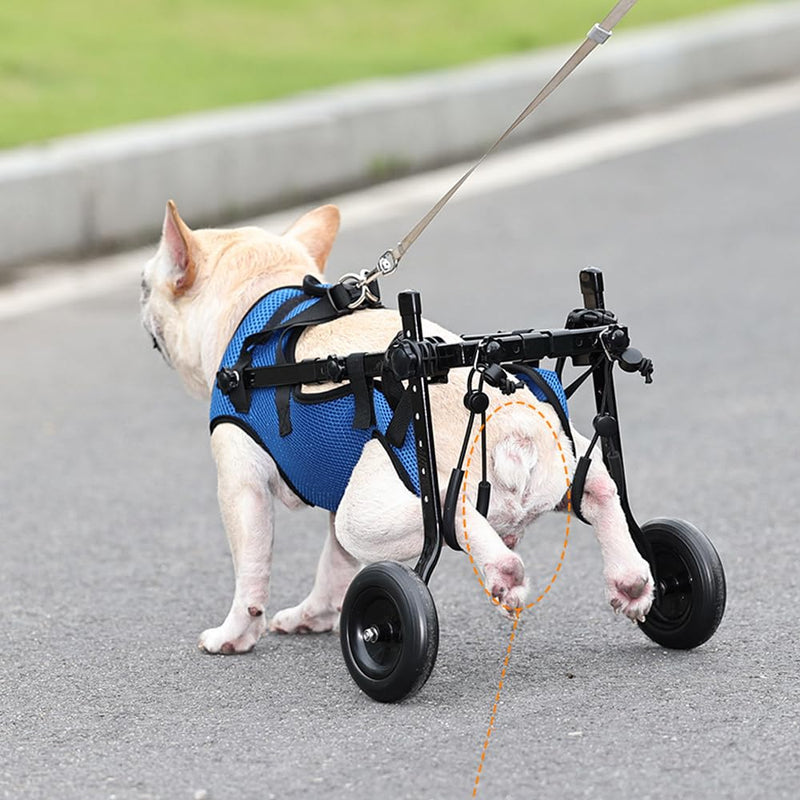 Dog Wheelchair, Adjustable Pets Cart Wheelchair for Back Legs,Dog Leg Brace and Hip Support, Assist Small Pets with Paralyzed Hind Limbs to Recover Their Mobility, Size M