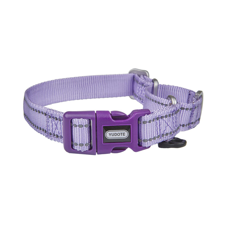 Reflective Martingale Collar for Dogs with Quick Snap Buckle Anti-Pull Nylon Safe Slip Collars for Easy Walking,Lilac,Small Small (Pack of 1) Lilac