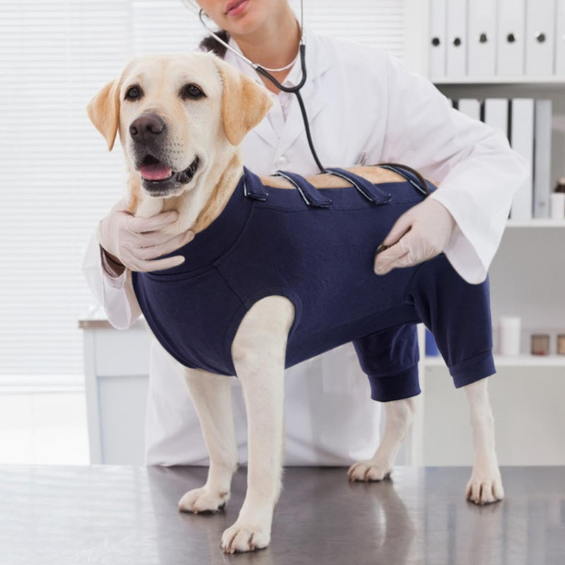 IECOii Pet Surgery Recovery Suit,Breathable Dog Bodysuit E-Collar & Cone Alternative Surgical Suit After Spayed/Neutered Wear,Recovery Suit for Dogs Male Female Sleeve to Prevent Licking,XL-Blue X-Large(Chest:27.2-32.7 in) Blue - PawsPlanet Australia