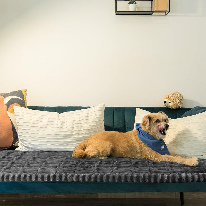 pawstrip Pet Couch Covers for Sofa Washable Dog Couch Cover Protector Anti-Slip Dog Blanket for Couches Fuzzy Couch Cushion Covers Soft Pet Sofa Cover for Furniture Plush Dog Couch Mat - PawsPlanet Australia