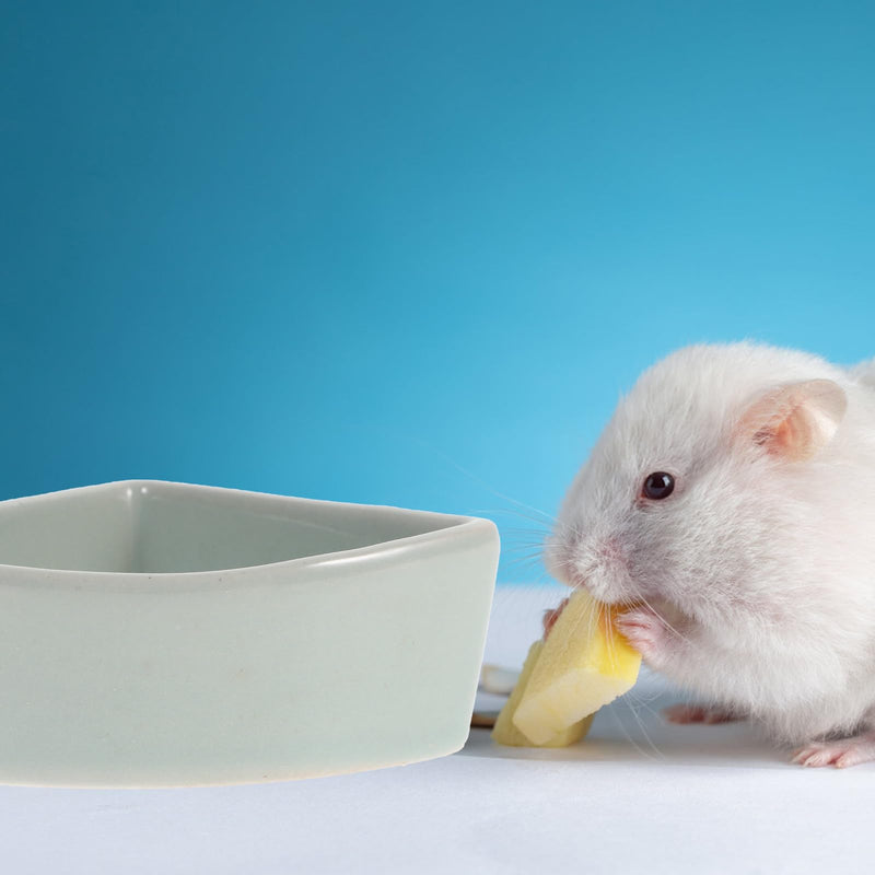 Hamster Bowl, Ceramic Food Bowl Guinea Pigs Rabbit Food Water Feeding Dish Small Animal Food Bowl for Guinea Pigs Gerbil Rat Chinchilla Hedgehog Cage Supplies, Blue