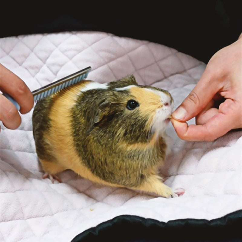 GuineaDad CuddleComb - Pet Brush for Dogs, Cats, Rabbits, and Guinea Pigs - Rubber Grip, Silicone Bands for Shedding, Molting, and Shiny Coat (Short) Short - PawsPlanet Australia