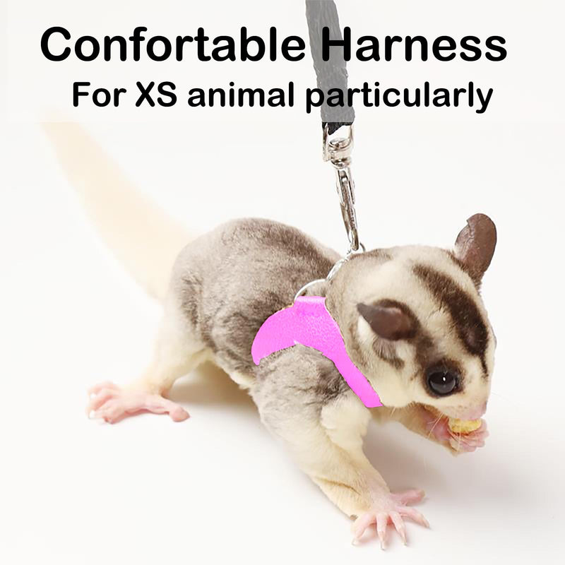 3 Pack Sugar Glider Harness and Leash Set Small Animal Training Walking Vest for Squirrel Hamster Rat Pink - PawsPlanet Australia