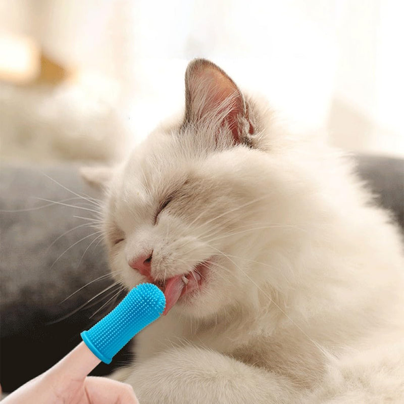 Pack of 12 Dog Toothbrush, 360º Dog Finger Toothbrush, Cat, Dog Toothbrush, Silicone Pet Teeth Cleaning Toothbrush Kit for Dogs, Puppies, Cats & Small Pets Dental Care