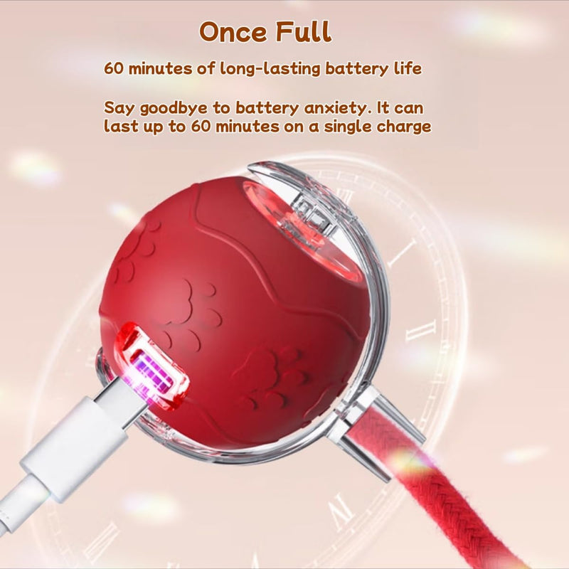 2025 New Interactive Cat Toy Ball for Indoor Cats Dog, Smart 360° Automatic Rolling Pet Ball Kitten Toys with Replace Feather , 3.0 Tail Electric Cat's Toys with LED Light Three Modes Adjustment Red - PawsPlanet Australia