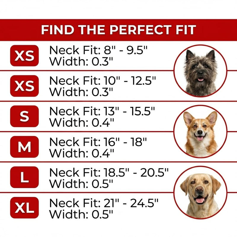 WAUDOG Ultra Soft Rolled Leather Dog Collar - Soft Padded for Small and Medium Breeds - Puppy Collar for Male and Female Dogs 8" - 9.5" Neck Brown