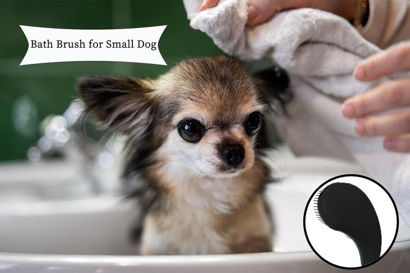 Small Dog Brush- Grooming Tool for Teddy, Yorkies, Maltese, Shih Tzu, Chihuahua - Puppy Hair Brush (Black) Black - PawsPlanet Australia