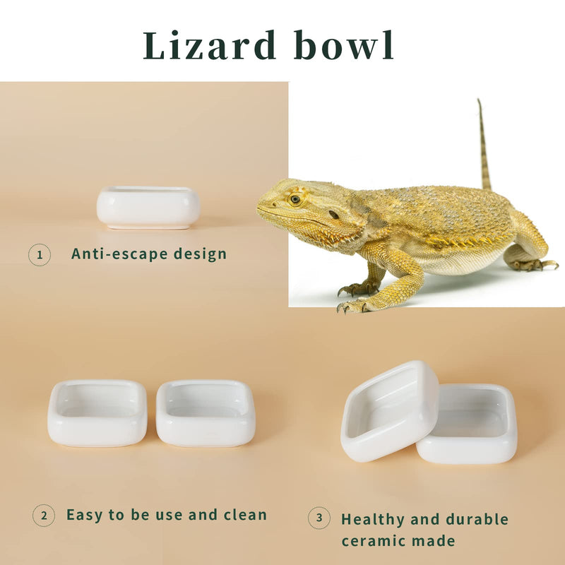 Reptile Food Bowls -Ceramic Square Reptile Water Food Dish, Pet Food Bowl for Lizards, Young Bearded Dragons, Small Snakes, Gecko Tortoise Spider (White, Small 2-Pack) White - PawsPlanet Australia