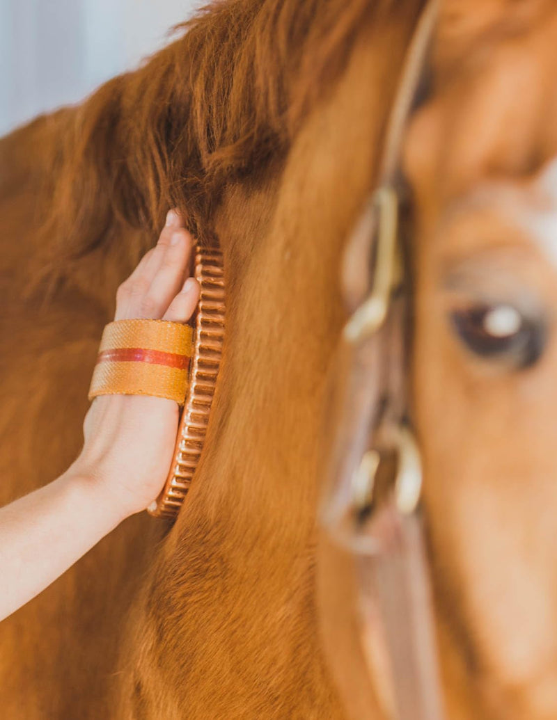 Kawell USA Oval Face Curry Comb Brush for Horse Grooming and Coat Care with Grip Handle - PawsPlanet Australia