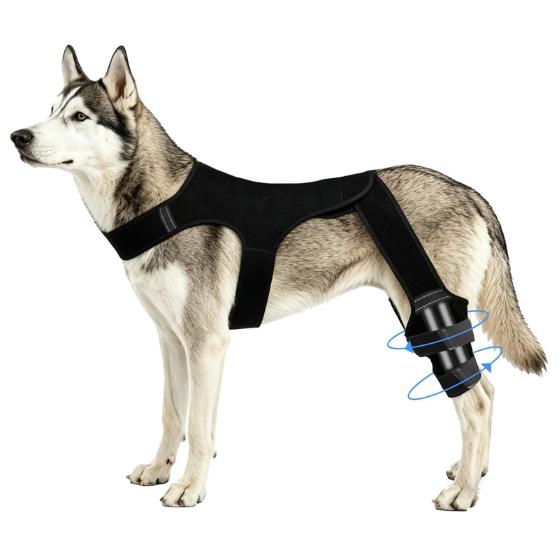 Penitue Dog Knee Brace Hind Leg, Adjustable Dog Hind Leg Braces Support System with 4 Stabilizers & Hip Support (XL) XL