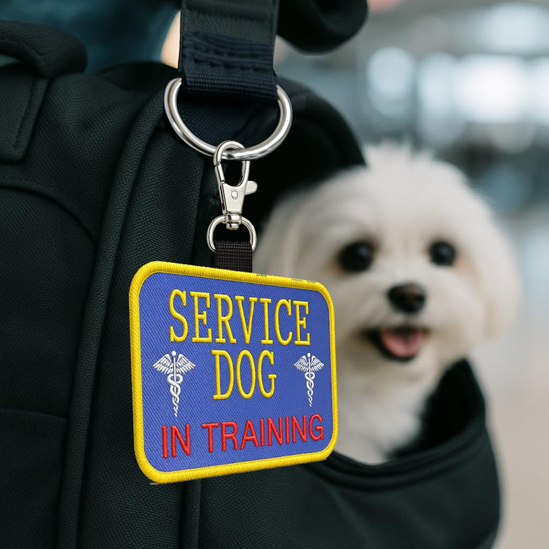 Service Dog in Training Clip-On ID Patch Tag - Includes 5 Federal Law Handout Cards - Clips to Vest, Harness, Collar, Leash, or Carrier - PawsPlanet Australia