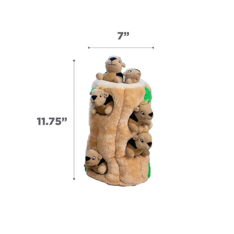 Outward Hound Hide A Squirrel Plush Dog Toy Puzzle, XL Multi 5 Piece Set - PawsPlanet Australia