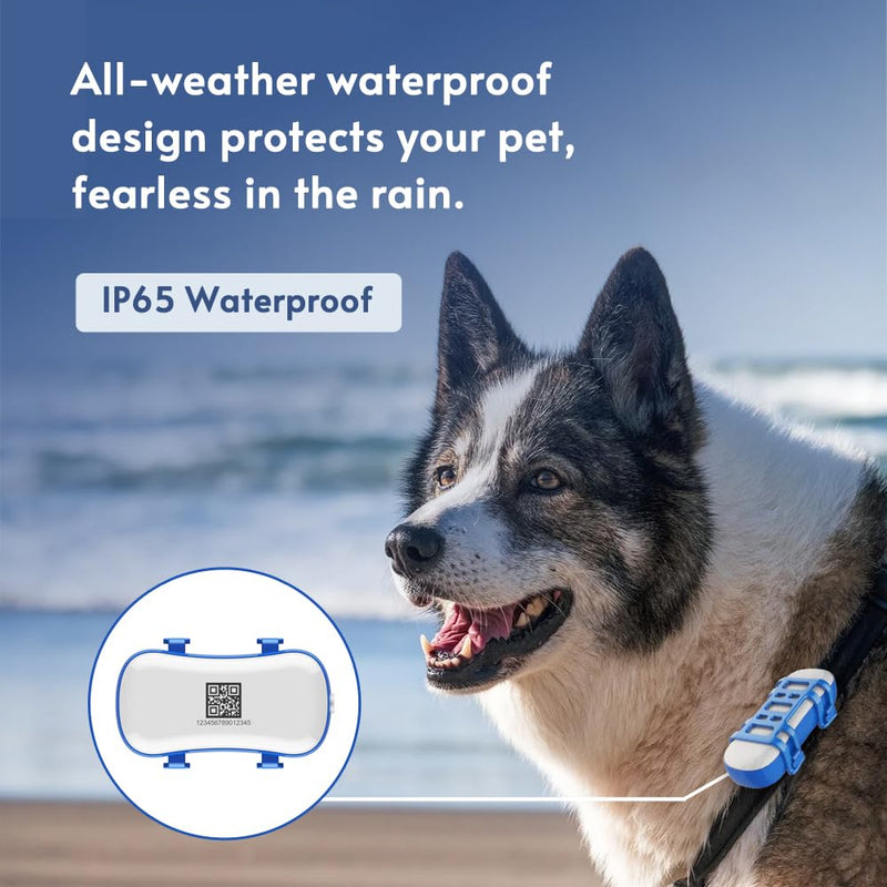 wanwanytech GPS Tracker for Dogs Cats, Pet GPS Location Tracker with Geo-Fence and Lighting Flash&Audible Alarm，Anti Lost No Distance Limited Dog GPS Collar Fit Most Pet Collars, Subscription Needed - PawsPlanet Australia