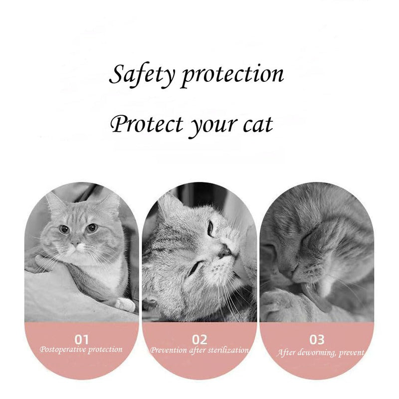 Cat Recovery Suit Female Kitten Onesie for Cats After Surgery Female Spay Surgical Abdominal Wound Skin Diseases Cone Collar Soft Alternative Wear (Cat, M) Cat