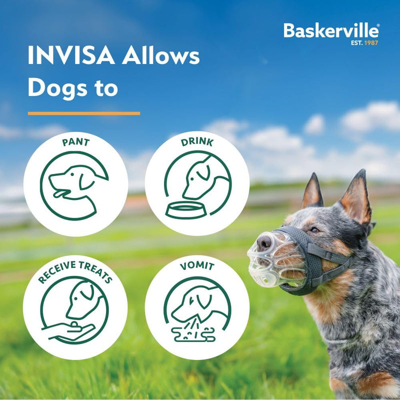 Baskerville INVISA Basket Dog Muzzle - Patented Humane Design with Facial Visibility,Padded Nose Band,Dog can Pant and Drink, Prevents Biting and Scavenging.Muzzle for Medium-sized Dogs (Size 3),Clear - PawsPlanet Australia
