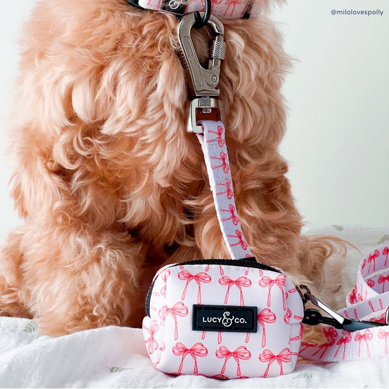 Lucy & Co. Designer Dog Leash - Pet Accessories - Thick Dog Leash - Padded Handle for Comfort - Ballet Bows - 5 Foot (White & Pink Bows, Small) Take a Bow Leash S - PawsPlanet Australia