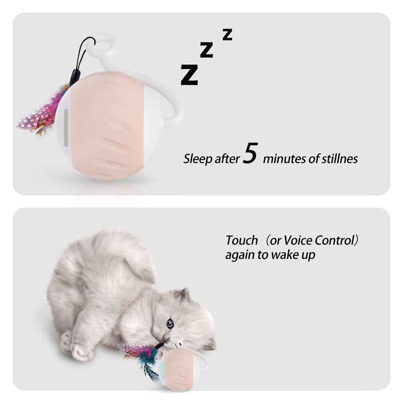 Turbo Tail Cat Toy Interactive Cat Balls Cat Toys For Indoor Cats, Turbo Tail Mouse Cat Toy With LED Rainbow Lights Feathers & USB Charging Cable, Touch Control And Sound Control Smart Cat Ball Toy A2- Pink - PawsPlanet Australia