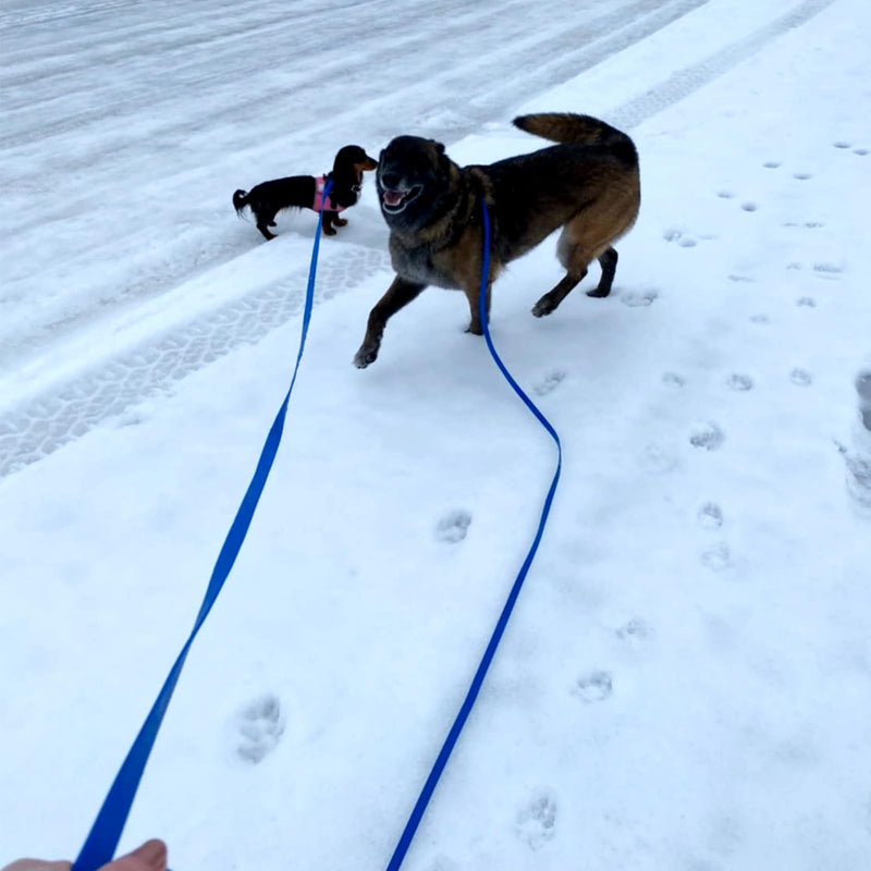 ZALER Long Dog Leash Waterproof Training Leashes 50ft 30ft 20ft 15ft 10ft 6ft, Odor Proof Recall Long Line Lead with Aviation Aluminum Carabiner Clip for Small, Medium, Large Dogs (20FT, Orange) - PawsPlanet Australia