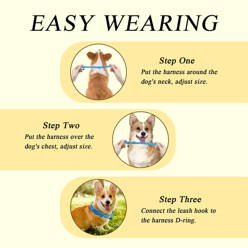 4pcs Dog Collar and Leash Set, Adjustable Puppy Collar and Leash, Anti-Escape, Quick Release, Ensures Comfortable and Flexible Wearing, Suitable for Small and Medium-Sized Pets - PawsPlanet Australia