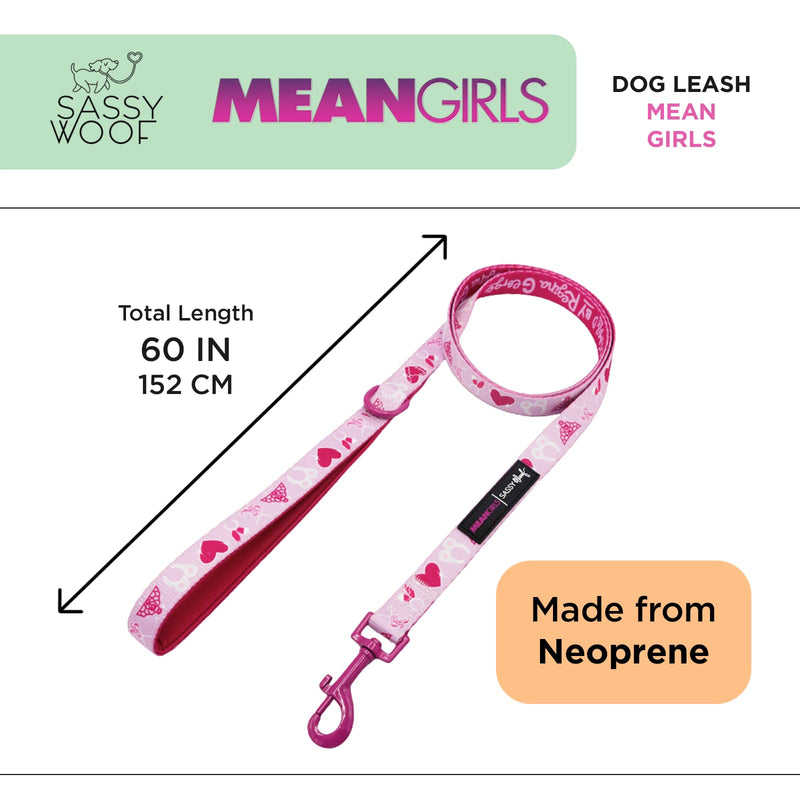 Sassy Woof Mean Girls Dog Leash 60-Inch with Neoprene Padded Handle - Comfortable, Durable, and Stylish for Small to Large Dogs - PawsPlanet Australia