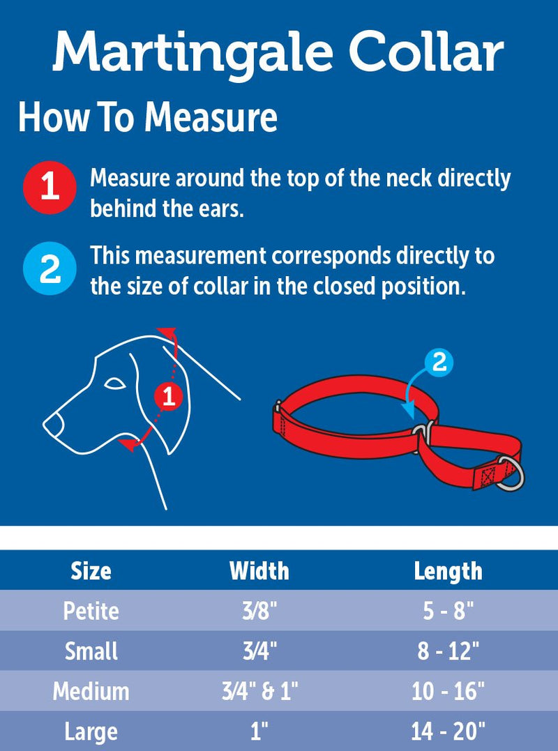 PetSafe Martingale Collar, 3/8" Petite, Royal Blue Petite (3/8" Width)