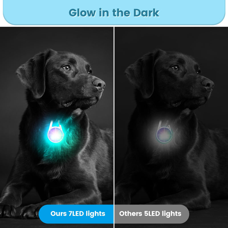 2Pack Dog Lights for Night Walking Dog Collar Light Clip on Glow in The Dark with 4Modes & RGB Color for Camping - PawsPlanet Australia