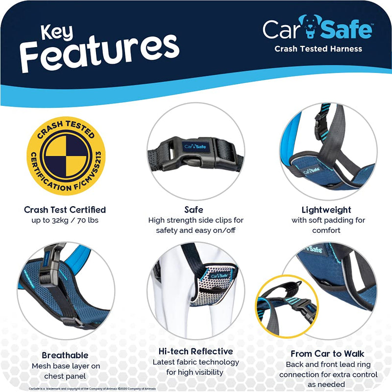 Carsafe Crash Tested Dog Harness Blue Large - PawsPlanet Australia