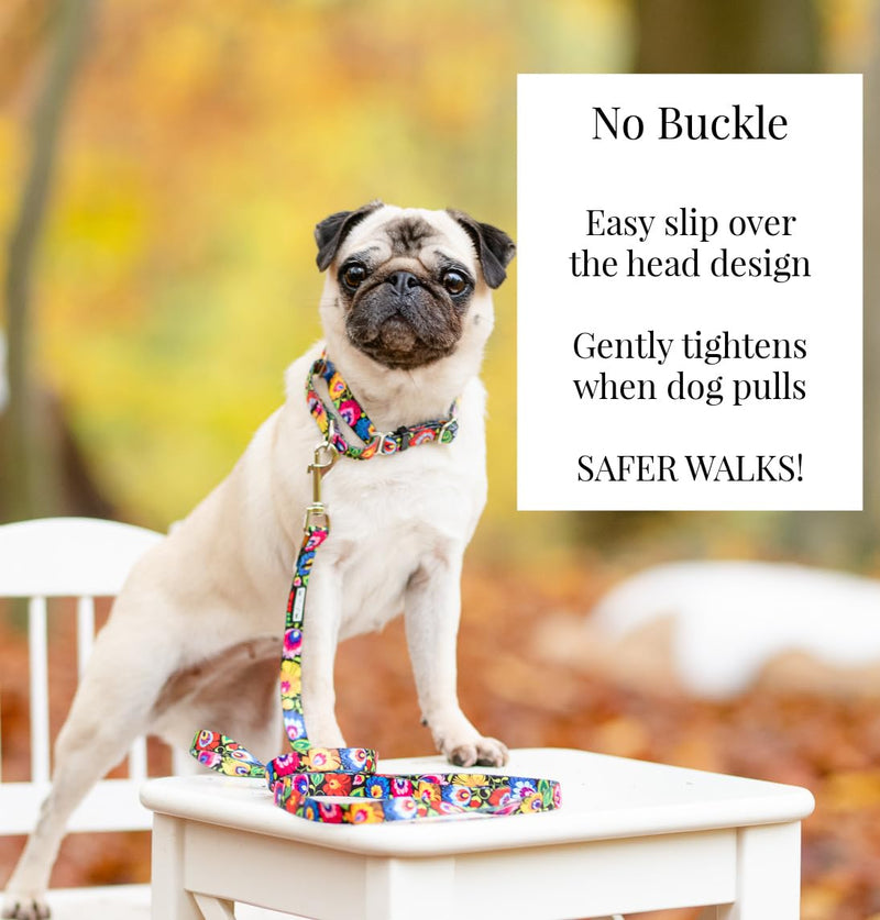 Lucky Love Dog Martingale Dog Collar - Adjustable, No-Slip, Durable, & Soft Webbing Collar for Male and Female Dogs Ideal for Training & Walking - Blackbird, Small Small Collars (10-15")