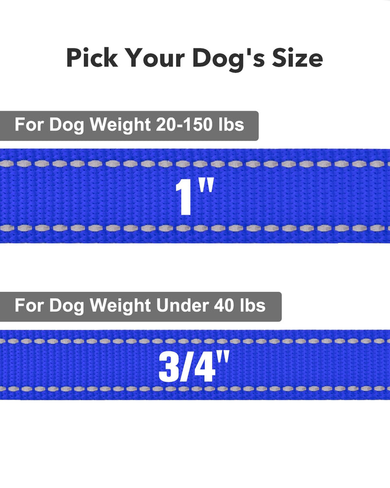 Taglory Dog Leash for Small Dogs, Double-Sided Reflective Leash with Soft Neoprene Padded Handle, 3/4 inch by 6 ft, Fit Small Medium Large Breeds Under 20 lbs, Navy Blue 3/4 in x 6 ft (Pack of 1) - PawsPlanet Australia