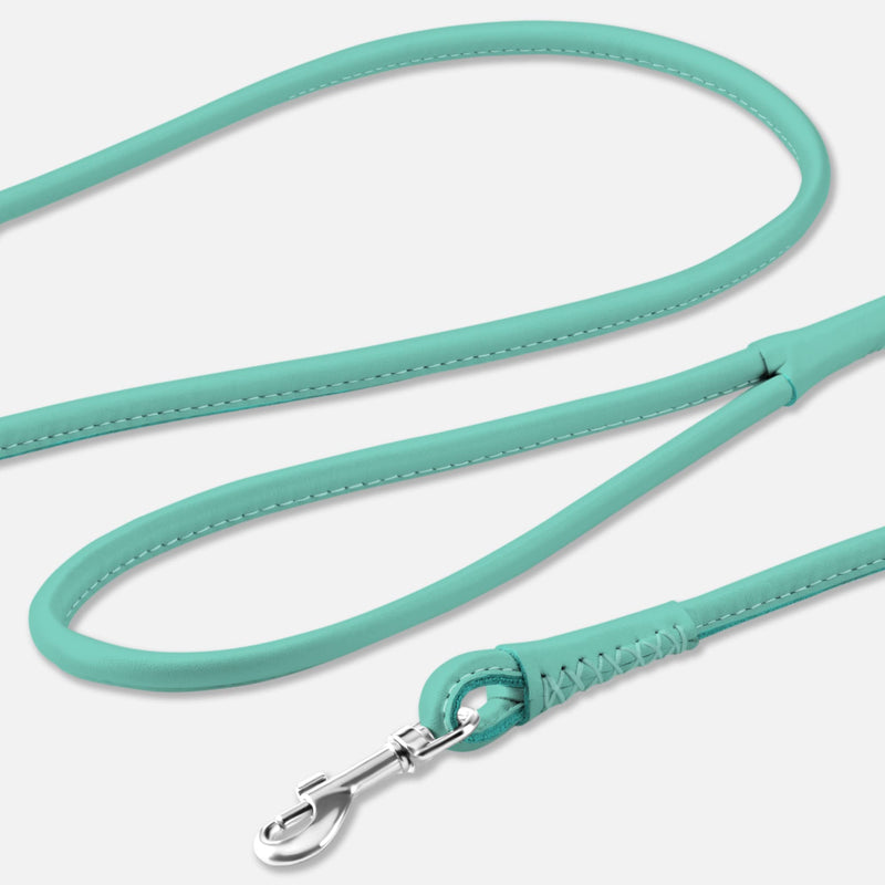 CollarDirect Rolled Leather Dog Leash 4ft, Soft Padded Training Leather Dog Lead 6ft, Puppy Leash Rolled Leather Small Medium Large Black Blue Red Orange Green Pink White (Mint Green, Size XL 6ft) - PawsPlanet Australia