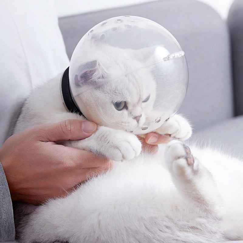 ULTECHNOVO Safe cat headgear made of ABS with breathable holes and shockproof design. White headgear for cats in outdoor use with self-adhesive closure.
