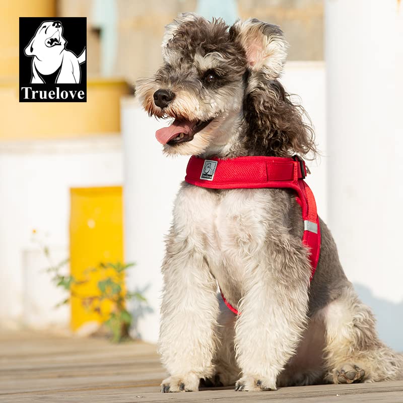 WINHYEPET Dog Harness Soft Mesh Reflective Breathable Step-in Dog Harness,Easy Adjustment Harness with Safety Buckle for Extra Small and Small Dogs, Vest Harness TLH3013(Red,S) S Red - PawsPlanet Australia