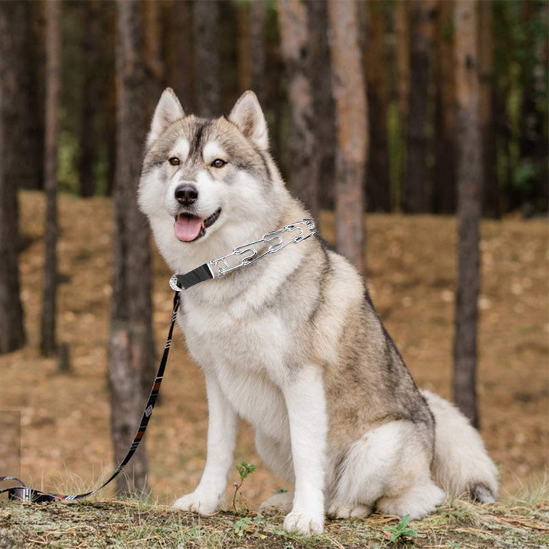 Dog Prong Collar, Dog Choke Pinch Training Collar, Adjustable Stainless Steel Links with Comfort Rubber Tips, Quick Release Snap Buckle for Medium Large Dogs (Packed with 8 Extra Tips) L(Neck:18''-20''-- Weight: around 70 lbs) Silver - PawsPlanet Australia